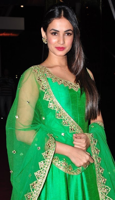 Beautiful Actress Sonal Chauhan Photos In Green Dress 26